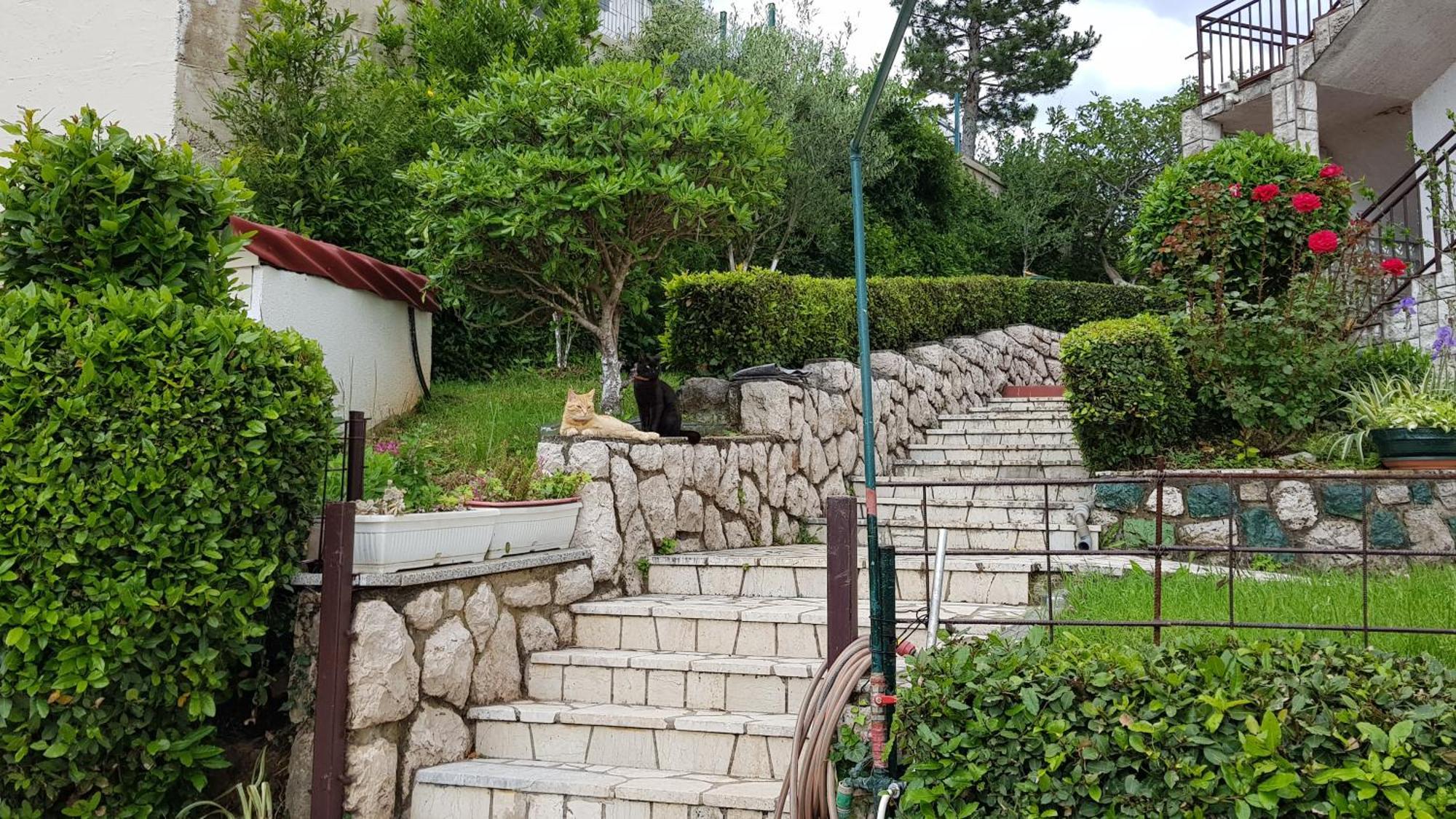 Apartmani Katica2 Crikvenica Exterior foto
